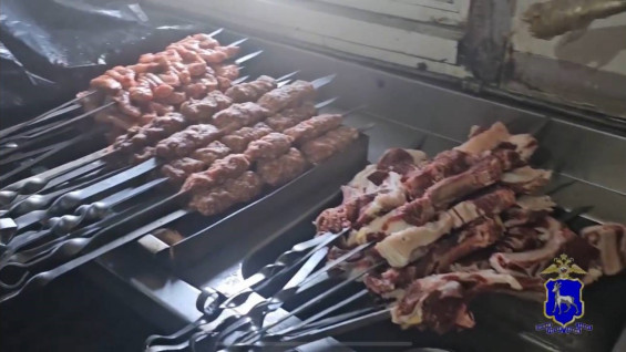 В Самаре по решению суда приостановили деятельность шашлычной, где по мясу бегали крысы