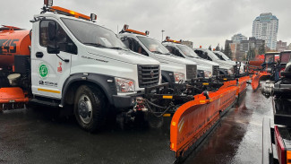 Самару зимой будут убирать более 450 машин и 5000 сотрудников