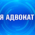 «Я адвокат»: юрист и статус адвоката – новые реалии представительства в суде