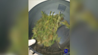 В Жигулёвске у мужчины нашли 21 грамм марихуаны дома