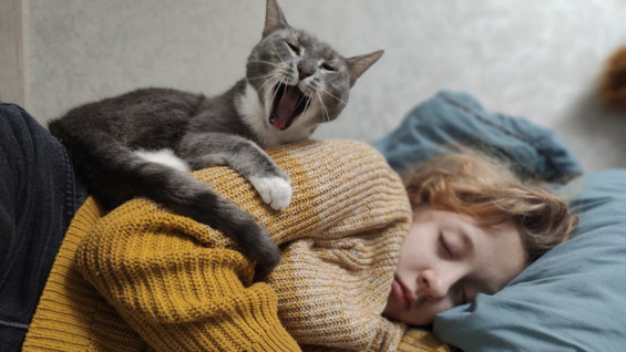 Самарцам назвали три причины внезапного пробуждения ночью 