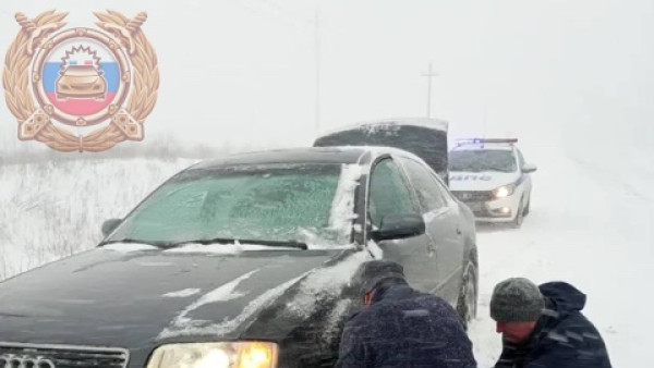 В Самарской области полицейские вызволили пожилого мужчину и внучку из снежного плена 