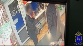 В Тольятти задержали грабителя, похитившего телефон у цветочного салона