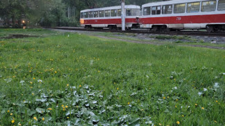 Стало известно, когда бабье лето накроет Самарскую область