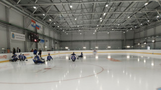 В Самаре учредили стипендию ветеранам СВО за успехи в адаптивном спорте