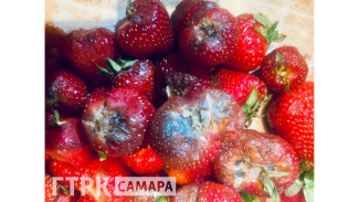 Самарцы ахнули от плесени на полках магазинов
