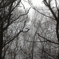 В Самарском регионе всю ночь 13 декабря действовал режим опасности атаки БПЛА