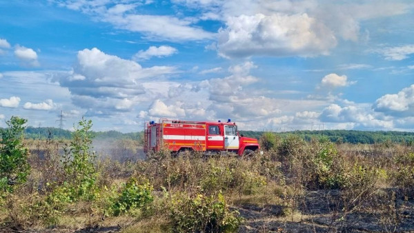 Под Самарой тушили 50 га леса: хроника большого пожара
