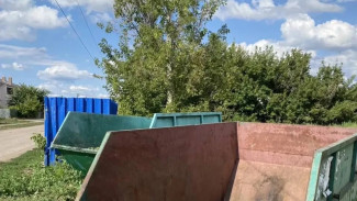Проблему мусорного коллапса в одном из сел Самарской области не смогли решить без вмешательства прокуратуры  
