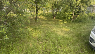 В Самаре мужчина угрожал соседу убийством бензопилой