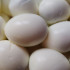 Самарцам перечислили продукты, которые можно не хранить в холодильнике