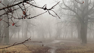 В Самарской области объявили желтый уровень опасности 2 декабря