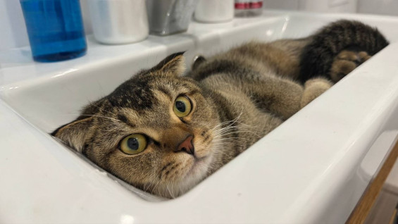 В Самаре 30 марта без воды останутся десятки домов на нескольких улицах