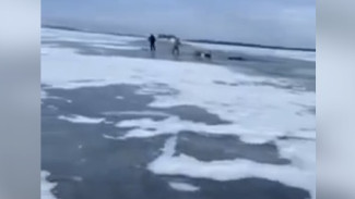 На Волге около Сызрани под лед провалился снегоход