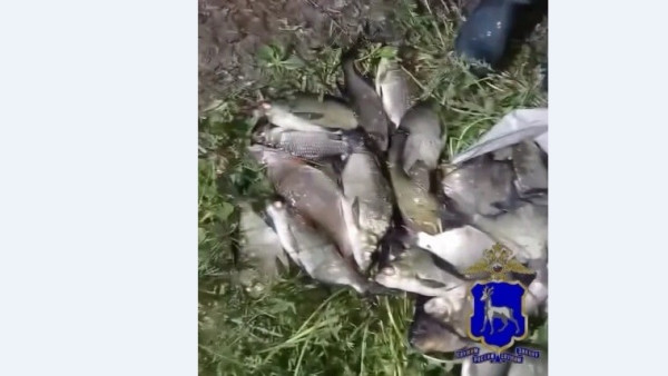 Под Самарой задержали браконьера с партией выловленной рыбы во время нереста