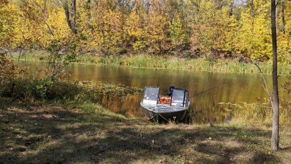 Под Самарой владельцев популярной турбазы заставили снести баню и бассейн