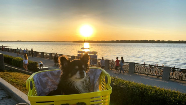 Самара снова вошла в топ-10 популярных направлений для трехдневного отдыха