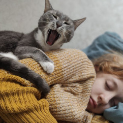 Самарцам назвали три причины внезапного пробуждения ночью 