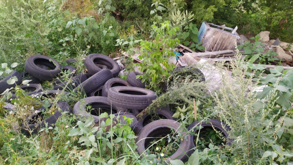 Самарцев накажут за лебедей из покрышек во дворах