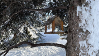 Приметы на 12 января. Что нельзя делать на Анисью Зимнюю, чтобы не заболеть неизлечимо