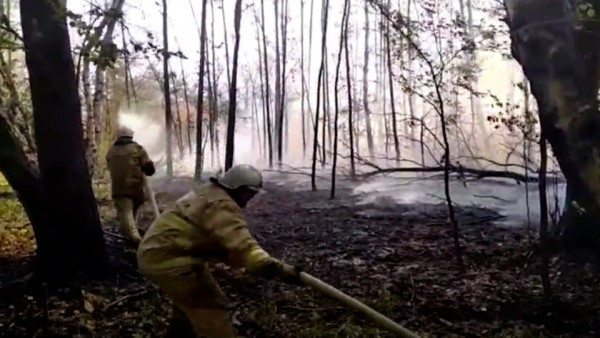 МЧС: площадь природного пожара в Самарской области достигла 5 тыс. гектаров