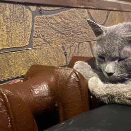 Самарцам рассказали, как вернуться к здоровому сну после новогодних праздников