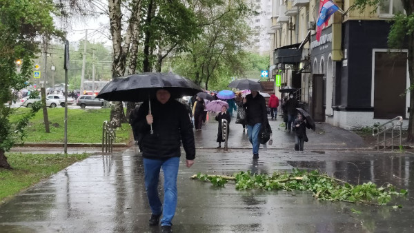 В Самаре вновь введен желтый уровень опасности из-за ветра до 20 м/с