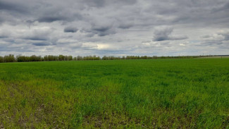 Режим черного неба будет действовать в Самарской области до 5 мая