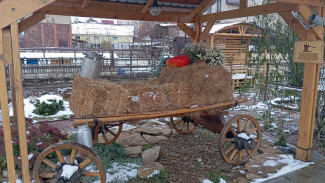 Народные приметы 10 ноября. Не обижайте их на Параскеву Пятницу, чтобы не лишиться защиты