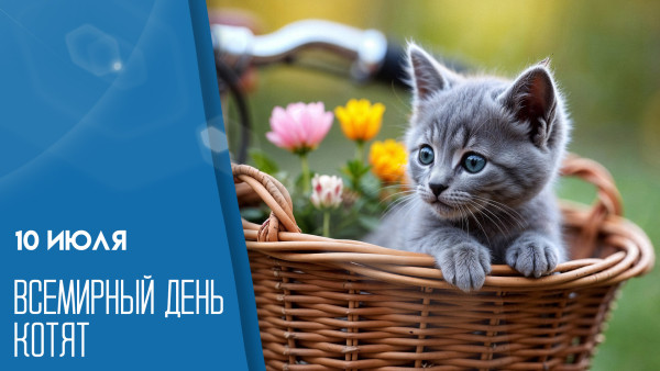 10 июля - День котёнка: праздник, объединяющий любителей пушистиков