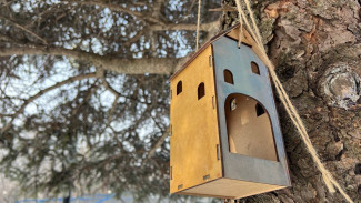 Синоптики рассказали, чего ждать от аномального марта в Самарской области 