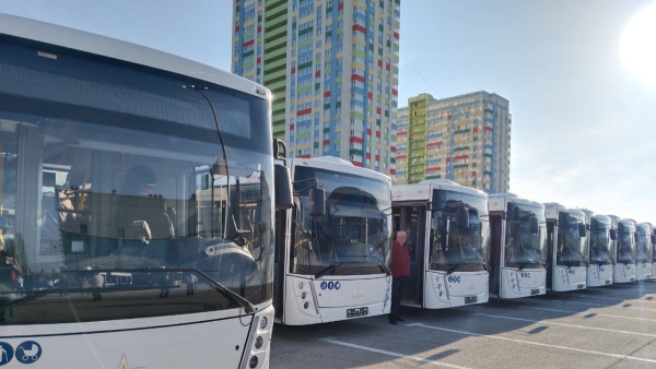 Стало известно, где в Самарской области с 1 января 2024 года отменят автобусы по выходным