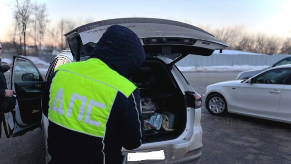 В Самарской области иностранный водитель пытался дать взятку за себя и за мигрантов-пассажиров