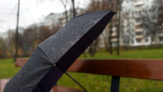 Синоптики рассказали, когда в Самаре закончатся дожди 