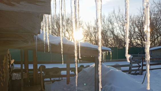 Самарцам рассказали, когда ждать первой оттепели с дождем