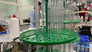 В Самарской области жертвами клещей стало более 3000 человек