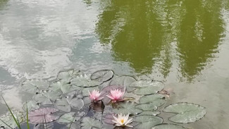 В Самарской области продают озеро за 6 млн рублей