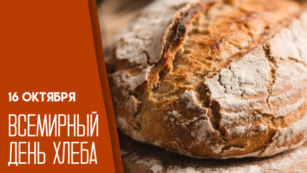 16 октября — Всемирный день хлеба: традиции, открытки и поздравления