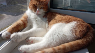 Самарской области предстоит пережить шторм в 5 баллов