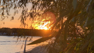 Народные приметы: 1 октября 2024. Не делайте этого на Арину Шиповницу, чтобы отвести внезапную беду