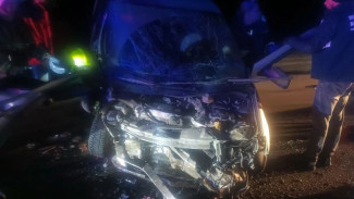 В Самарской области на трассе М-5 столкнулись Priora и Granta: пассажирку зажало в машине