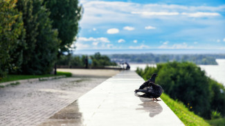 Гороскоп на 13 августа: звезды предостерегают три знака от фатального шага, который приведет к катастрофе