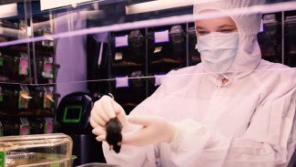 Россия отправит на орбиту «Ноев ковчег» уже 20 августа