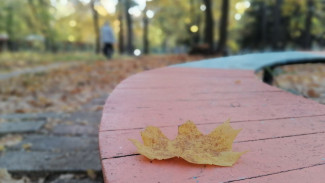 Гороскоп на 11 сентября 2024 года: 4 знака зодиака ждет плохой день