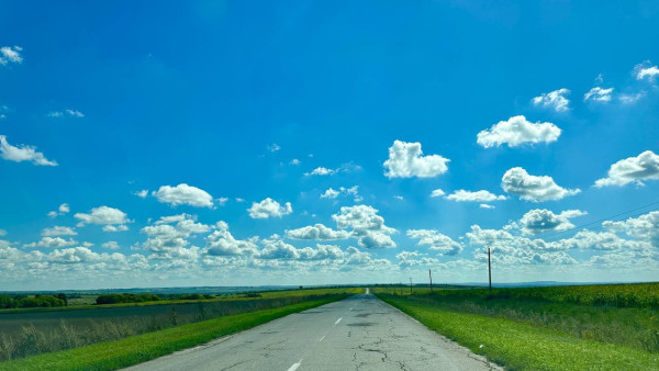 Суд не пустил пьяного водителя из Самарской области на свободу раньше срока