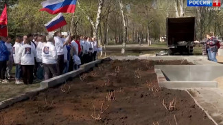 В преддверии Дня Победы в одном из парков Самары высадили 80 кустов гортензий