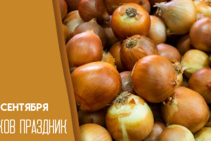 Самый страшный грех: что запрещено делать 20 сентября на Луков праздник, чтобы не навлечь беду