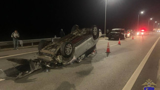 В Самарской области произошло два ДТП из-за лося