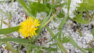 Самарцев предупредили о снеге в октябре