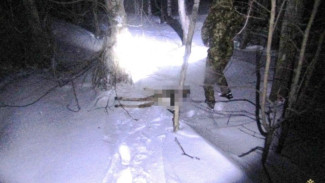 Под Самарой задержали 64-летнего браконьера с ружьём и следами крови в машине